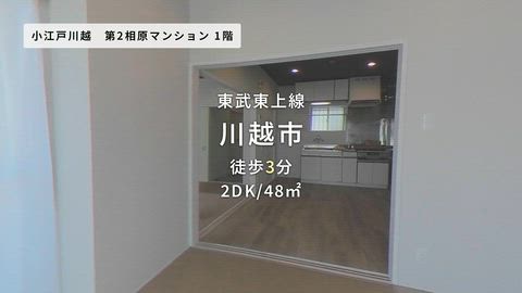 動画