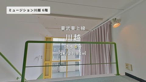 動画