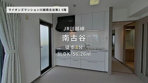 動画