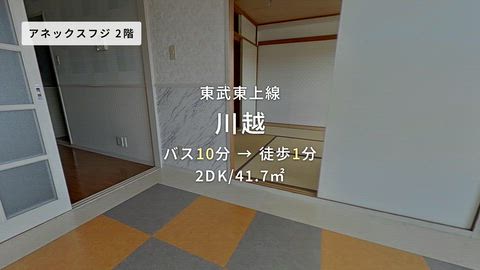 動画