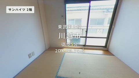 動画