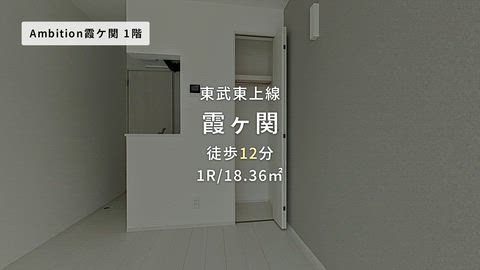 動画