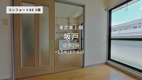 動画