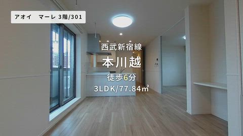 動画