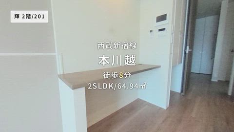 動画