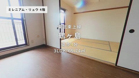 動画
