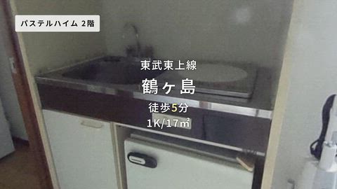 動画