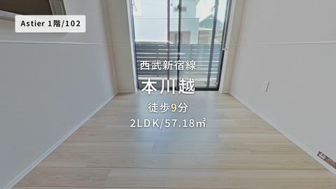 動画