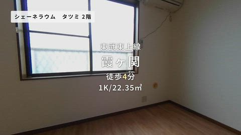 動画