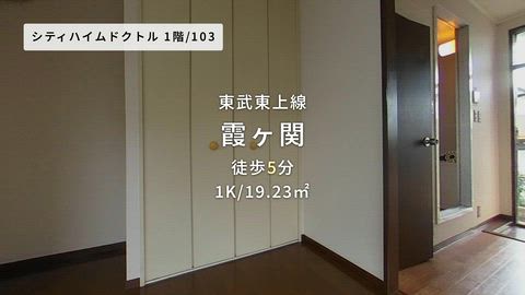 動画