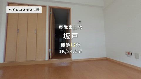 動画