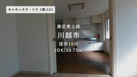 動画