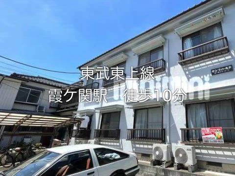 動画