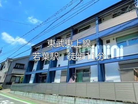 動画