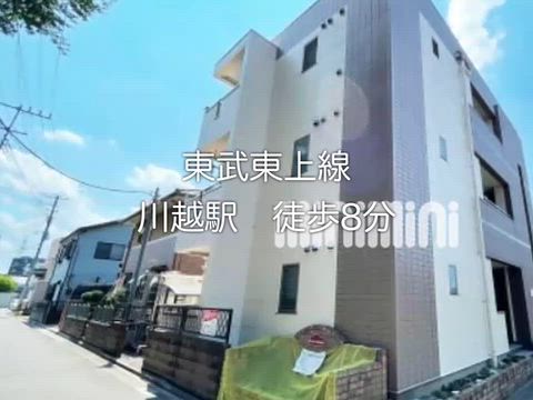 動画