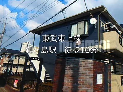 動画