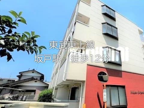 動画