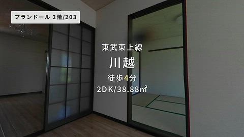 動画