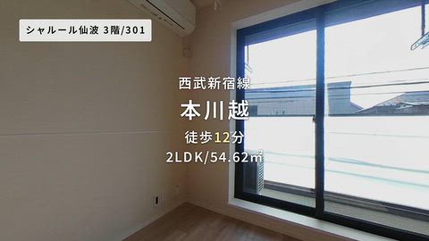 動画
