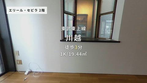 動画