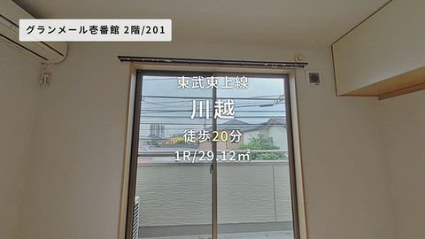 動画