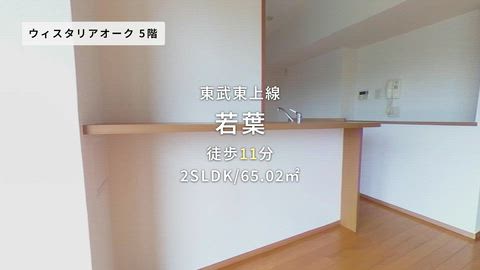 紹介ムービー