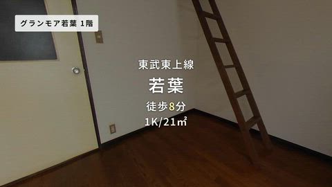 紹介ムービー