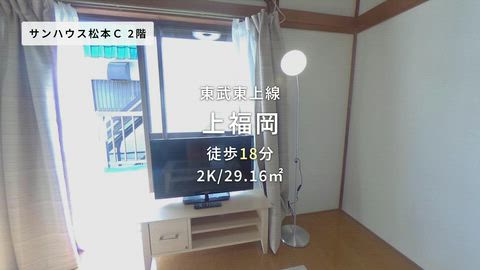 動画