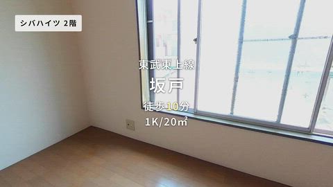 動画