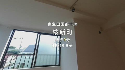 動画