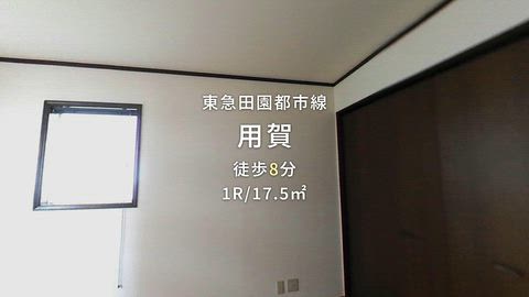 動画