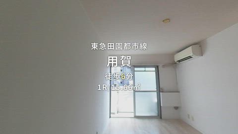 動画