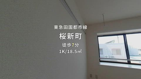 動画