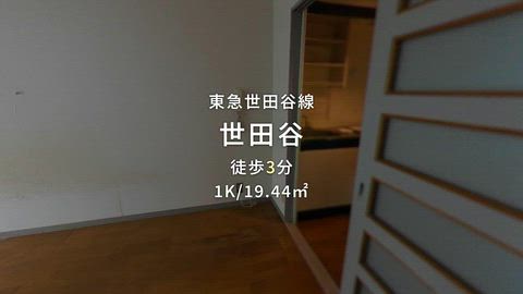 動画