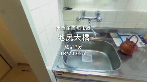 動画