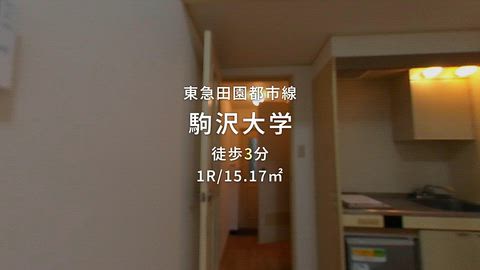 動画