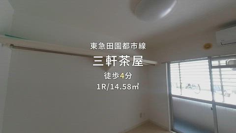 動画