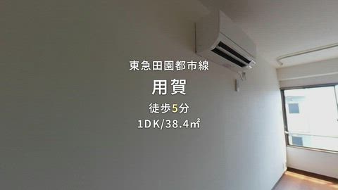 動画