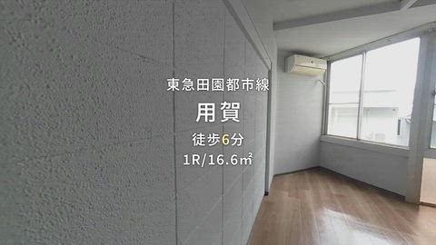 動画