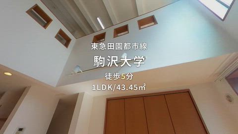 動画