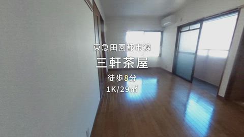 動画