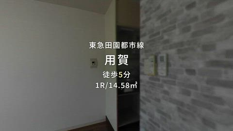 動画