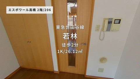 動画