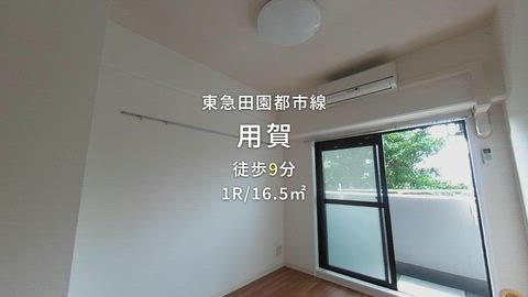 動画
