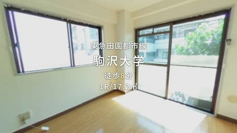 動画