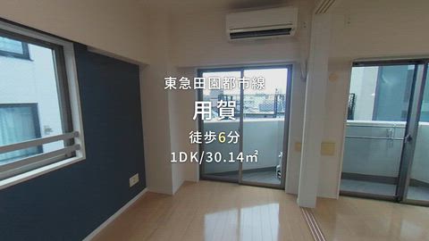 動画