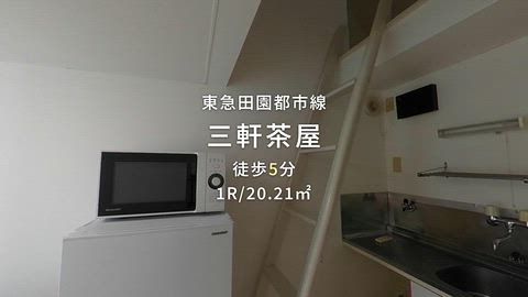 動画