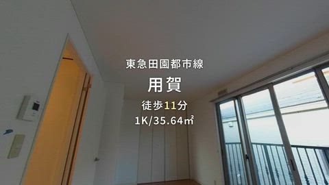 動画