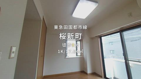 動画