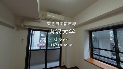 動画